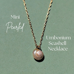 Op de afbeelding: Een goudkleurige ketting met een kleine, parelmoer umbonium schelpenhanger. De schelp is lichtroze met een spiraalpatroon. De tekst "Mini Pearled" en "Umbonium Seashell Necklace" is zichtbaar.