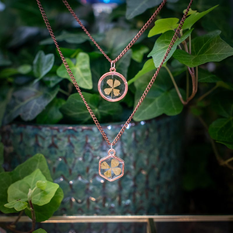 Real Four Leaf Clover Necklace - Etsy