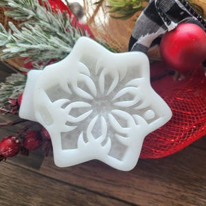 Può includere: Un ornamento bianco a forma di stella con un design a fiocco di neve, parte di una ghirlanda natalizia. La ghirlanda comprende bacche rosse, rami sempreverdi finti e una rete rossa. Un nastro a scacchi bianco e nero e una palla rossa completano l'arrangiamento festivo.