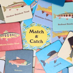 May include: A set of colorful square cards with illustrations of different types of trout fish. Each card has the name of the fish printed on it. The cards are arranged in a random pattern. The text "Match & Catch" is printed on one of the cards.