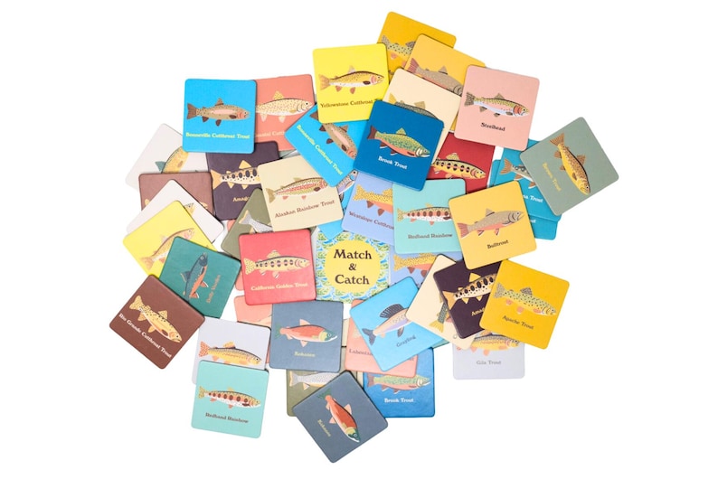 May include: A set of colorful square cards with illustrations of different types of fish. Each card has the name of the fish printed on it. The cards are arranged in a pile, with the top card showing a "Match & Catch" logo.