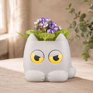 Grumpy Kitty Planter Self Watering Plant Pot Cute Cat Decor Indoor Succulent Holder Houseplant Gift Desk Accessory Funny Small Office Accent