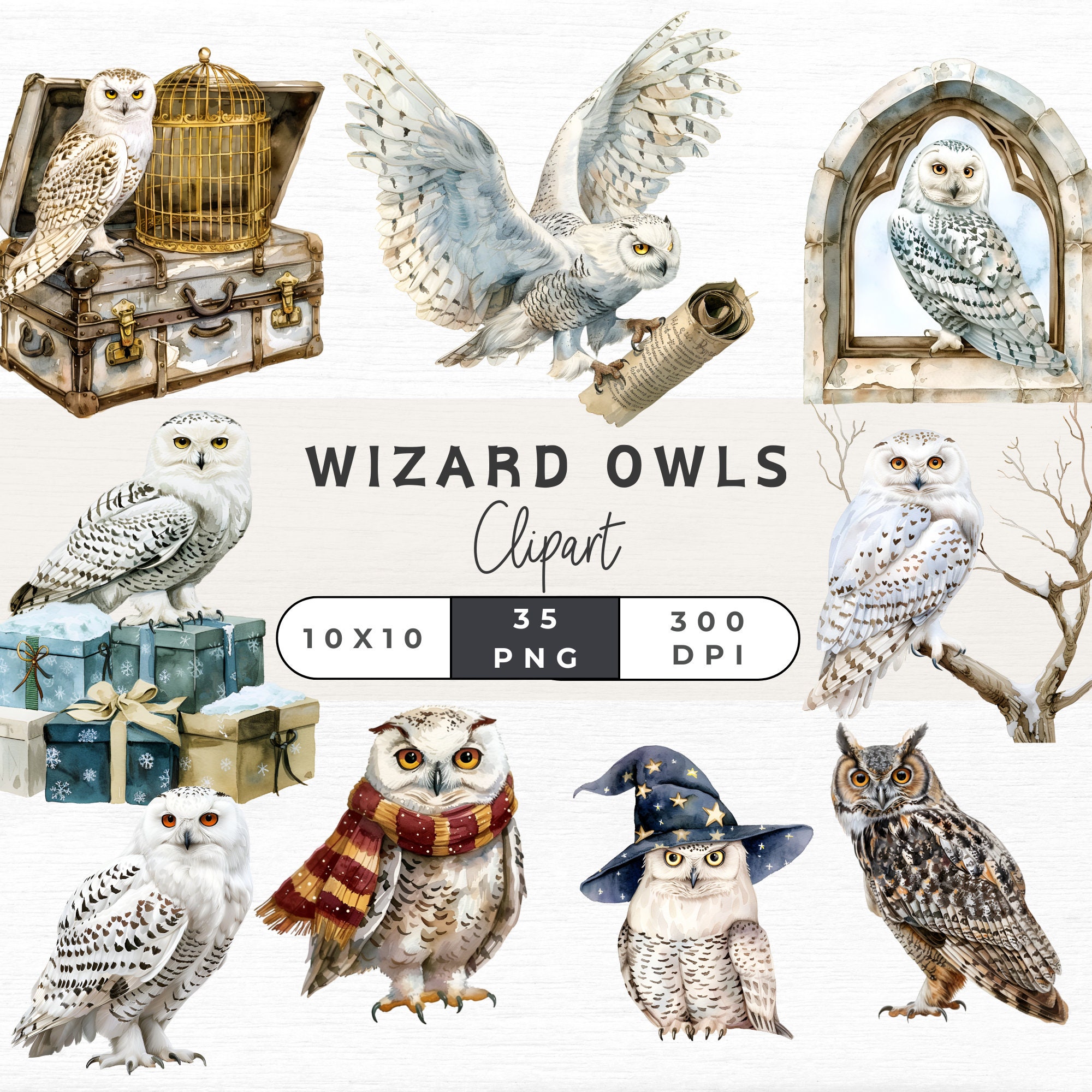 Magic Owls Clipart, Magic School Clipart, Wizard Owl PNG, Watercolor Owl Clipart, Flying Owl, Wizard