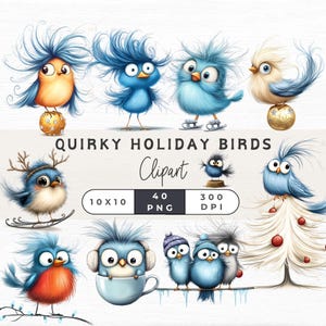 Clipart oiseaux originaux, Png oiseau drôle, oiseaux sarcastiques, oiseaux lunatiques, clipart oiseau fou, clipart oiseau de vacances, carte oiseau de Noël,