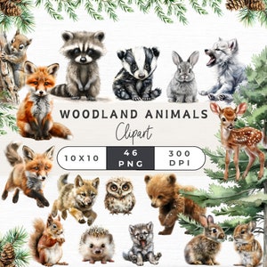 46 Clipart forêt, mignon bébé animaux clipart, chambre d'enfant aquarelle bois, aquarelles animaux, mignons animaux de la forêt png,