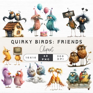 40 Clipart de pássaros peculiares, pássaros engraçados PNG, animais engraçados Png, pássaros em aquarela Png, arte de pássaros para impressão, clipart de pássaros peculiares, pássaros caprichosos