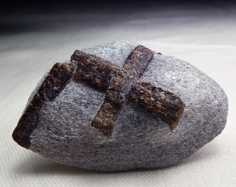 May include: A gray rock with a cross-shaped formation of brown crystals. The crystals are embedded in the rock, creating a unique and natural design. The rock has a rough texture and is set against a neutral background.
