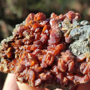 Op de afbeelding: Close-up van een cluster van levendige, rood-oranje kristallen. De kristallen zijn dicht opeengepakt en hebben een glanzend, reflecterend oppervlak. De kristallen liggen op een grijze en groene rotsbasis.