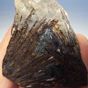 Astrophyllite