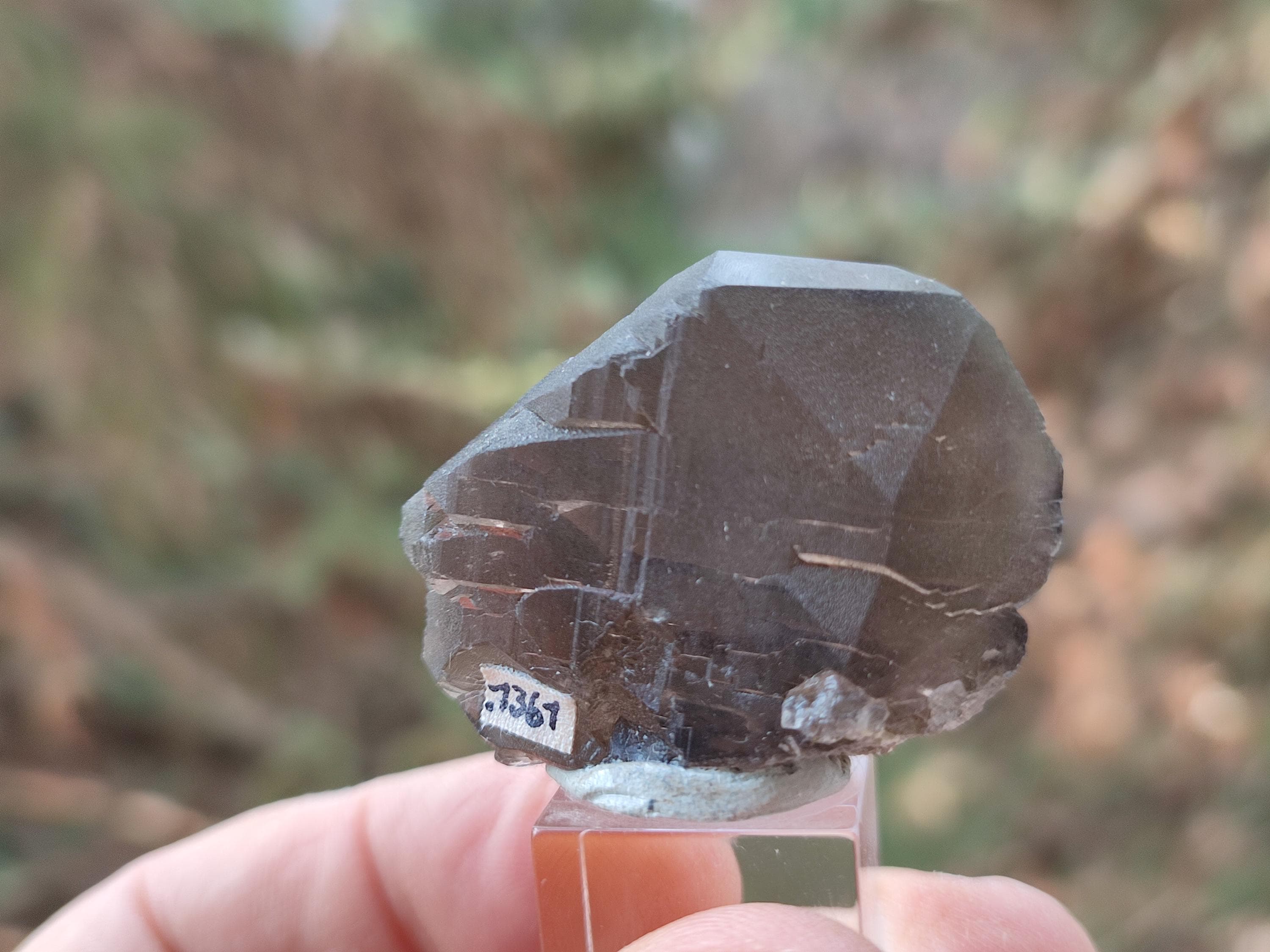 Gwindel quartz - Etsy 日本