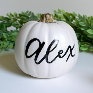 Personalized Family Name White Small 4" Pumpkin | Mr. & Mrs. Pumpkin |  2026 White Monogram Pumpkin | Hand Lettered Pumpkin with Name