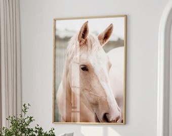 fine art horse print, limited edition print, original fine art photography, horse wall art, farm wall art, horse print, horse portrait