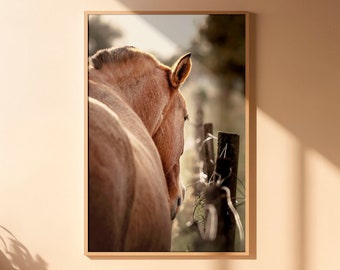 fine art horse print, limited edition print, original fine art photography, horse wall art, farm wall art, horse print, horse portrait