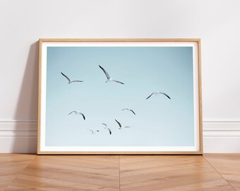 Seagulls flying print, original fine art photography, seagulls, birds in sky, sky photography, birds flying, wall decor prints, wall art