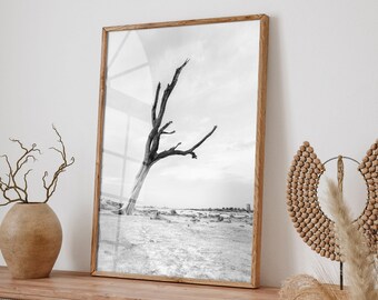 Dead trees print, limited edition, original fine art photography, trees prints, trees wall art, black and white, trees wall art, argentina