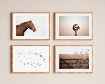 Set of 4 prints field landscape, fine art photography, farm prints, countryside prints, field gate, field mill, horse print, wall art