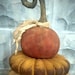 ePattern~Primitive Grungy Porch Pumpkins Sewing Pattern PDF File, Instant Download