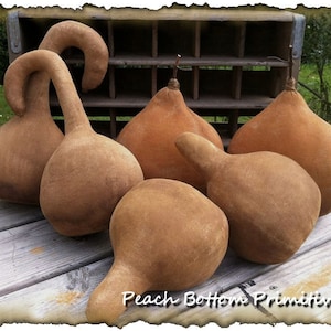 Peut inclure: Cinq gourdes brunes de formes et de tailles différentes, disposées sur une surface en bois. Les gourdes sont toutes naturelles et ont un aspect rustique. Les gourdes sont disposées devant une caisse en bois.