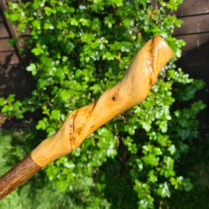 May include: A handcrafted wooden walking stick with a light brown, twisted handle and a dark brown shaft. The handle has a natural, organic shape with visible wood grain and a knot. The walking stick is set against a backdrop of green foliage.