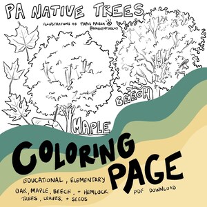 May include: Black and white coloring page titled "PA Native Trees." The illustration features outlines of trees, leaves, and the words "Maple" and "Beech." The text "Coloring Page" is prominently displayed, along with educational details and a PDF download option.
