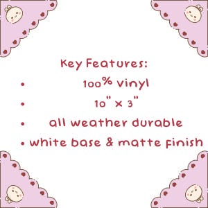 Puede incluir: Un gr&aacute;fico informativo rectangular con un borde rosa claro que presenta peque&ntilde;as caras de conejo de dibujos animados y corazones rojos en las esquinas. El texto dice: Key Features: 100% vinyl, 10" x 3", all weather durable, white base & matte finish.