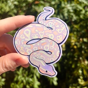 May include: A sticker of a purple and pink snake with a light green and yellow pattern. The snake is curled up in a coil.