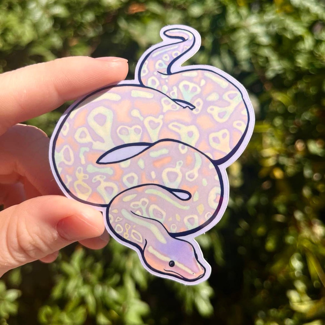 Ball Python Sticker-- Pastel Snake Vinyl Sticker MULTI DESIGNS! - Etsy