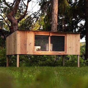 May include: A wooden rabbit hutch with a wire mesh front, raised on four legs, and situated in a grassy area.