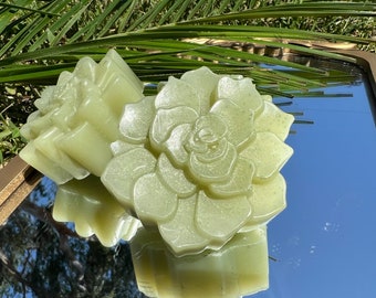 Soculante de Aloe Vera