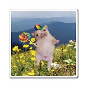 May include: A sticker showing a white dog wearing a colourful hat and holding a rainbow lollipop. The dog is in a field of yellow flowers with a mountain range in the background.