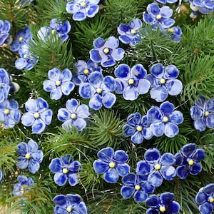 Könnte beinhalten: Ein Kranz aus blauen Keramik-Vergissmeinnicht-Blumen auf einem Hintergrund aus grünen Kiefernästen.