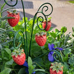 5 Erdbeeren und 5 Erdbeerblüten aus Keramik Keramikblume Bild 1