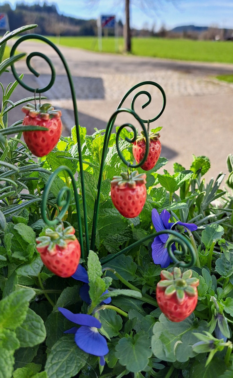 5 Erdbeeren und 5 Erdbeerblüten aus Keramik Keramikblume Bild 1