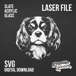 Enseigne Lumineuse J516-b Cavalier King Charles Spaniel Dog