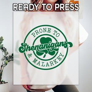 May include: White t-shirt with a green circle design that says "Prone to Shenanigans & Malarkey" with a shamrock inside the circle.
