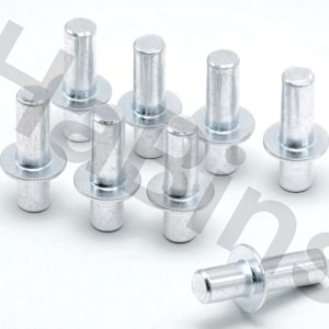 May include: A collection of silver-colored rivets with a cylindrical body and a flat, circular head. The rivets are arranged on a white surface, with one rivet lying horizontally. These fasteners are commonly used in various construction and repair projects.