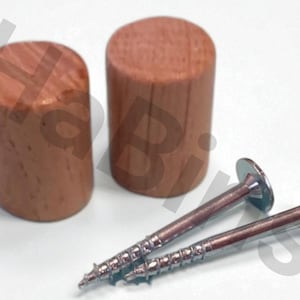 Può includere: Due tasselli di legno e due viti argentate sono mostrati su sfondo bianco. I tasselli sono cilindrici e marrone chiaro. Le viti hanno una testa piatta e una punta.
