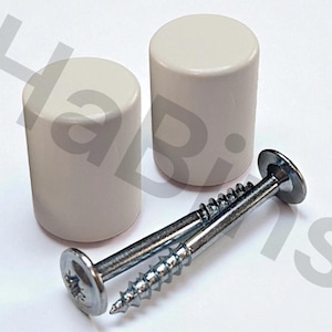 Könnte beinhalten: Zwei zylindrische, hellbeige Möbelstopfen und zwei silberne Schrauben mit flachen Köpfen werden auf einer weißen Oberfläche gezeigt. Die Stopfen sind glatt und abgerundet, während die Schrauben einen Gewindeschaft haben.