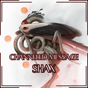 Mensaje canalizado de Shax / Respuestas a 1-5 preguntas / Comunicación directa con el demonio [Entrega digital]