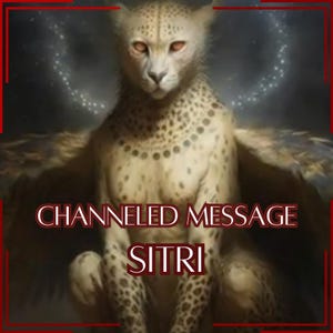 Mensaje canalizado de Sitri / Respuestas a 1-5 preguntas / Comunicación directa con el demonio [Entrega digital]