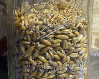Sterilized Whole Oat Grain Jar for Myco Needs