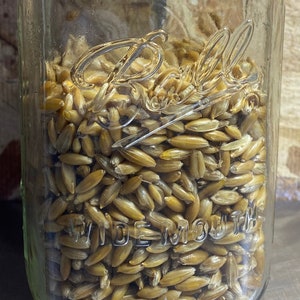 Puede incluir: Un frasco de vidrio transparente con tapa plateada lleno de granos de avena crudos.