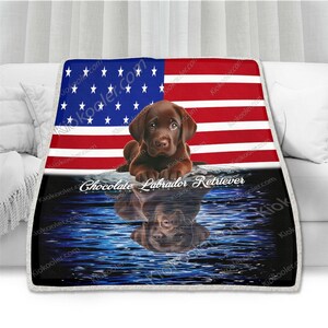 May include: A chocolate Labrador Retriever puppy sits on a white surface with an American flag background. The puppy is looking at the camera. The text "Chocolate Labrador Retriever" is written below the puppy. The puppy is reflected in the water below.