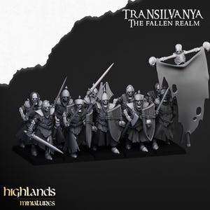 May include: A group of 8 skeletal warriors in black armor, holding swords and shields, stand in a line formation. They are led by a skeletal figure holding a tattered banner with the text "Transilvanya The Fallen Realm".