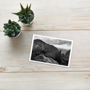 Forest Landscape Photograph Standard Postcard Mail Black and white cards