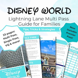 DisneyWorld Lightning Lane Multi Pass Guide, Single Pass & VQ, WDW Itinerary Tips, Theme Park Ride Strategy, Family Vacation Planner