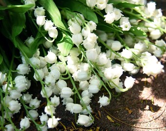 Lily Of The Valley 6Pcs/bundle  Artificial Flower For Home Decor White Fake Flower Bouquet Room Table Ornament Wedding Decoration