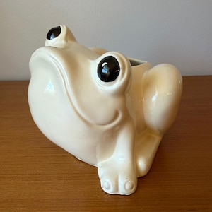 Puede incluir: Una maceta de cerámica color crema con forma de rana y grandes ojos negros. La rana está en posición sentada, con las patas delanteras dobladas. La maceta tiene un acabado liso y brillante y está diseñada para plantas o flores pequeñas.