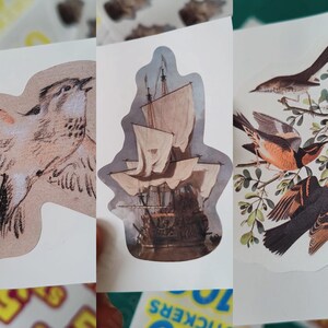 May include: A collection of vintage-style stickers featuring illustrations. One sticker depicts a detailed bird, another a sailing ship, and the third showcases birds perched on a leafy branch. The stickers have a white border.