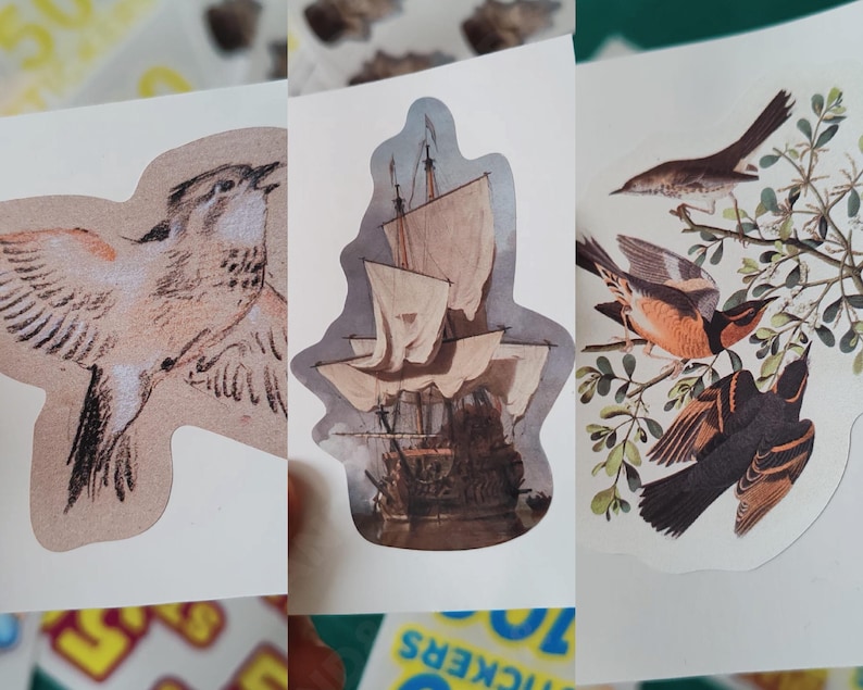 May include: A collection of vintage-style stickers featuring illustrations. One sticker depicts a detailed bird, another a sailing ship, and the third showcases birds perched on a leafy branch. The stickers have a white border.